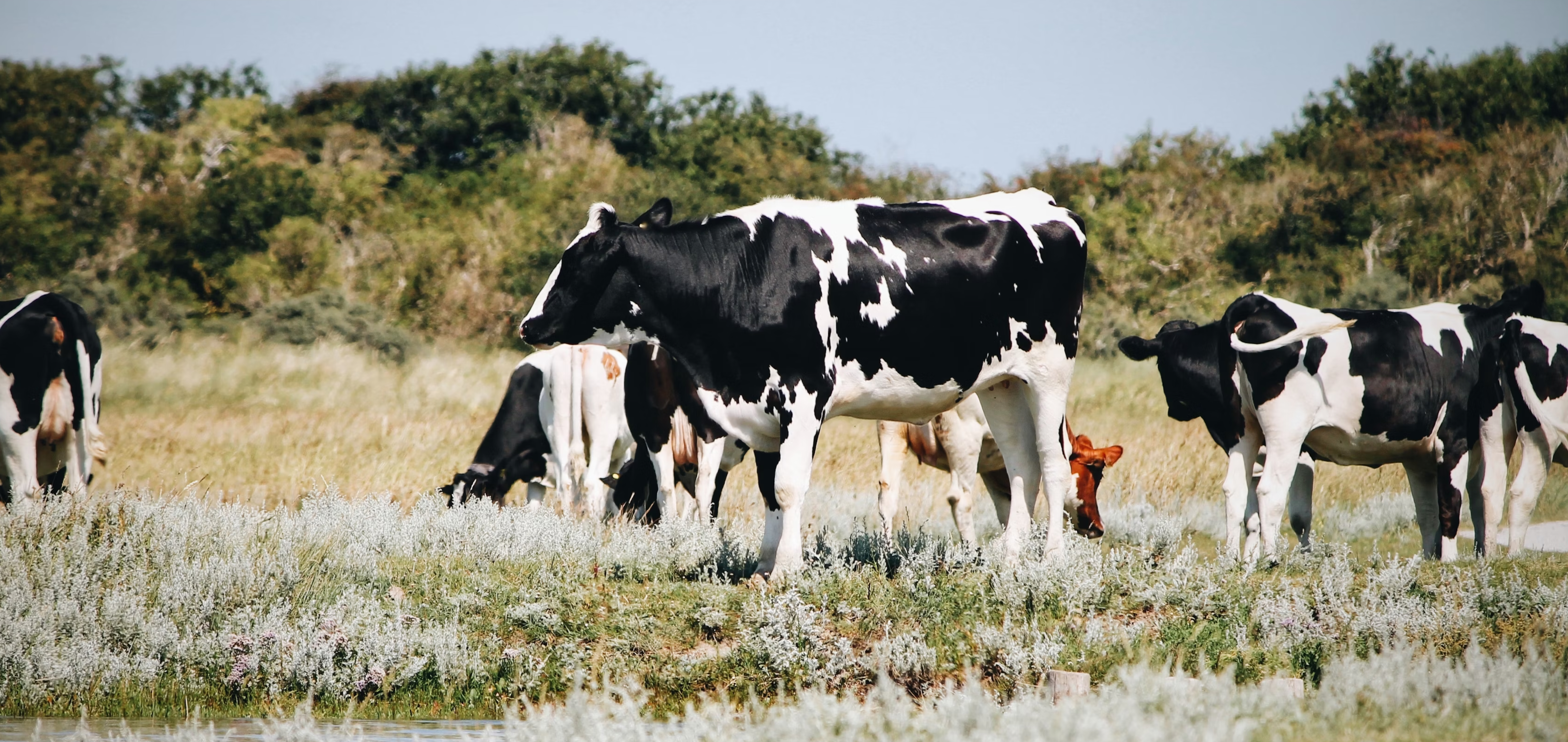 Business and Agriculture